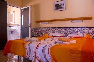 IMG_3555 (1)         